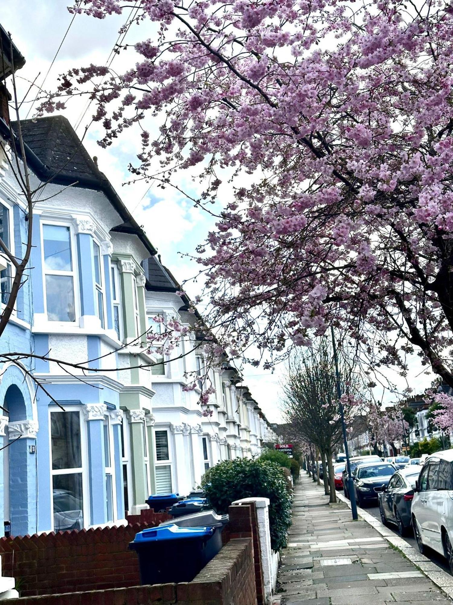 Charming, Renovated Residence In Willesden Green Londra Esterno foto